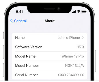 iOS ICCID guide